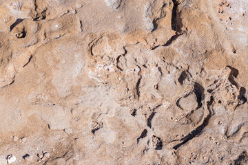 textured background brown stone with cracks on the surface. copy space. abstract stone background for design. sea stone.