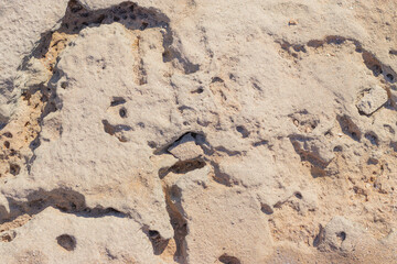 textured background brown stone with cracks on the surface. copy space. abstract stone background for design. sea stone.