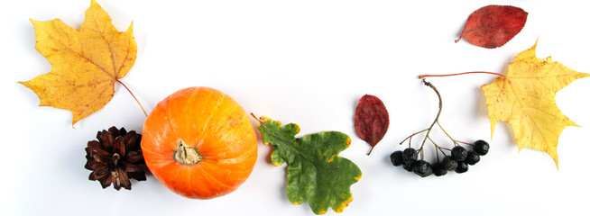 Autumn background from leaves, berries and pumpkins. Colorful seasonal composition on white background.