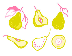 Vector pears illustration. Hand drawn vector set of decorative pears. Illustration with fruits.