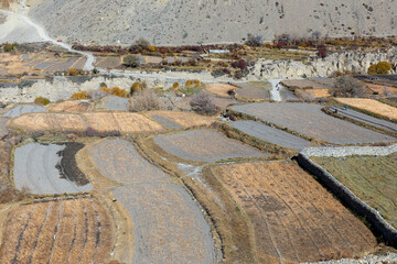 agricultural fields near the village of Kagbeni in the Himalayas. Mustang District, Nepal