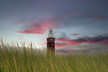 Beach grass with lighthouse Westhoofd in Ouddorp  with copy space