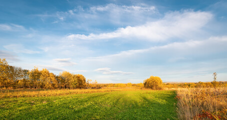 Fototapeta na wymiar Beautiful trees in autumn tones on a background of blue sky. Magic golden autumn. Panoramic view.