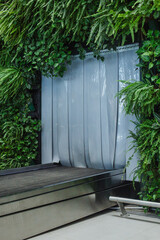 Airport luggage empty tape without bags and baggage green leaves