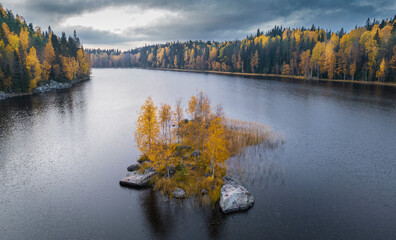 Fototapeta premium Aerial view of colorful autumn lake on light background for concept design. Forest trees. Holiday concept. Kid graphic. Beauty concept.