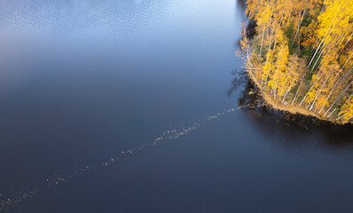 Aerial view of colorful autumn lake on light background for concept design. Forest trees. Holiday concept. Kid graphic. Beauty concept.