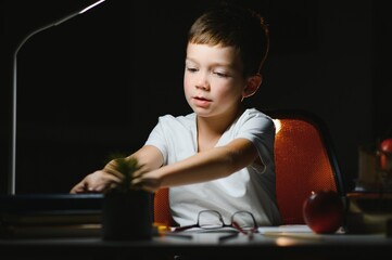 boy doing homework at home in evening