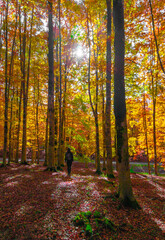 Mount Autore Livata (Subiaco, Italy) - Autumnal foliage in the mountains of province of Roma, Lazio region, Simbruini mounts natural park. Here a view with a beautiful autumn landscape.