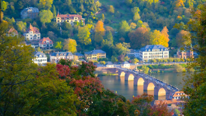 Heidelberger Stadtansicht