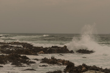 Black island, Chile