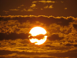 Sol