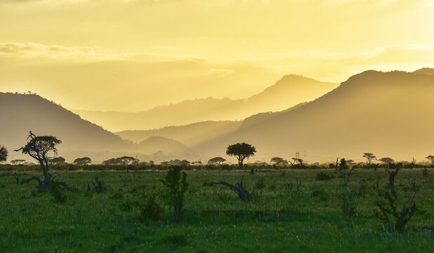 The Chyulu Hills of Kenya in the golden light of the setting sun with the savanna green from the rains.  