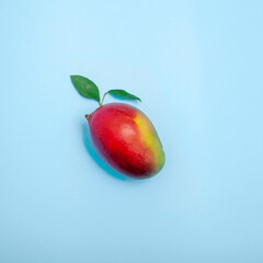 The whole ripe mango fruit with leaves on a bright blue background, Contemporary art food flat lay photo 
