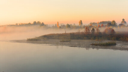 Autumn. Dawn. Morning fog. Fog over the swamp. Thick autumn fog. Trees and bushes in dense fog
