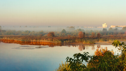 Naklejka na ściany i meble Autumn. Dawn. Morning fog. Fog over the swamp. Thick autumn fog. Trees and bushes in dense fog