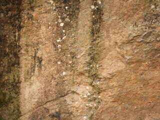 Granite with moss and smudges background
