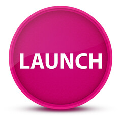Launch luxurious glossy pink round button abstract