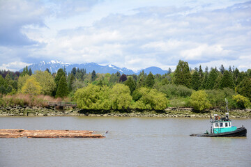 Tugboat towing a log boom up river with trees and mountains in background.