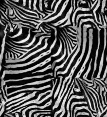 Fototapeta na wymiar seamless zebra skin print pattern.