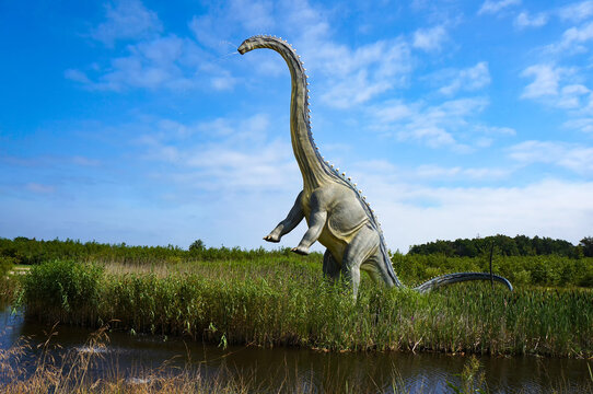 Model of dinosaur Seismosaur (Diplodocus) in Jurassic park in Leba, Poland