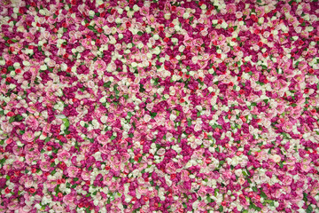 Blossoms of red, pink, white roses - fabric artful arrangement, texture, background, love, marriage, card