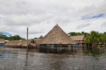 Fototapeta na wymiar The flooded forest in the Peruvian amazon