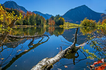 Oberstdorf - Moorweiher - Allgäu - Herbst - Spiegelung - See - malerisch