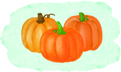 Pumpkins Watercolor Set