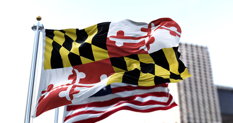 the flag of the US state of Maryland waving in the wind with the American flag blurred in the background - obrazy, fototapety, plakaty