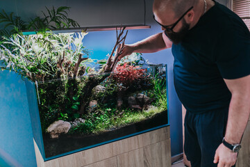 Male worker working in aquarium showroom and using aquascaping tweezers for fish tank aquatic plants. - obrazy, fototapety, plakaty