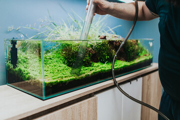 Fototapeta na wymiar Worker in aquarium showroom changing water in aquarium using siphon.