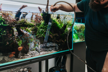 Worker in aquarium showroom changing water in aquarium using siphon. - obrazy, fototapety, plakaty