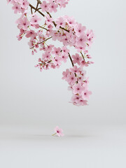 japanese style minimal cherry blossom white background for product presentation. 3d rendering illustration. © allme3d