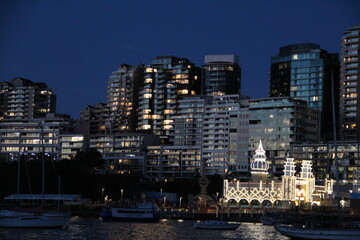 Obraz premium city skyline at night
