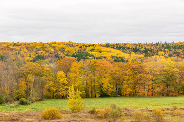 Fall color in rural Nova Scotia.  Shot in Kings county in october.