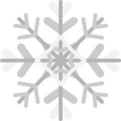 snowflake flat icon