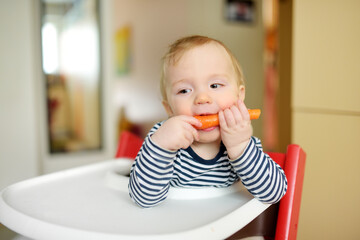 Cute little baby boy eating carrot sitting in a white highchair. Introducing first solid foods....