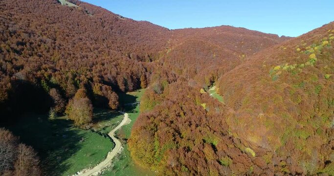 Fall aerial shots over the beech forest at Monte Terminillo, in the central Italy. The beautiful landscape of the rocky mountain and its forest coloured by the warm tones of the fall season.