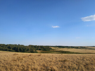 Obraz premium Nature of Kazakhstan.