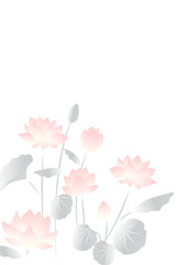 淡い色合いの蓮の花の文字なしポストカード
