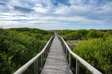 Fototapeta na wymiar Wooden pathway leading to the beach