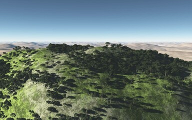 緑と砂漠　3DCG風景