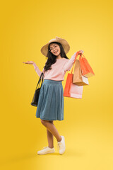 Beautiful woman hands carrying shopping paper bag presenting something