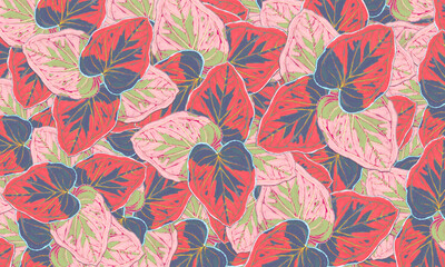 colorful caladium tropical plant  spring nature background hand  drawn illustration
