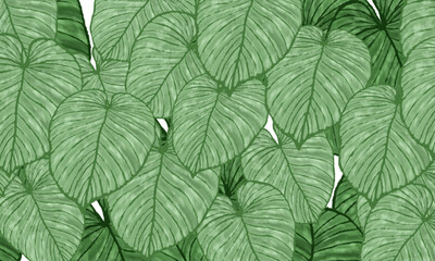 green tropical leaves spring nature background