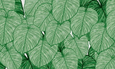 green tropical leaves spring nature background