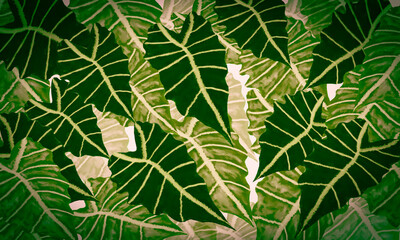 fresh green tropical leaves spring nature  watercolor paint  design background