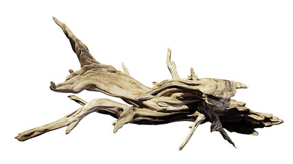 driftwood, old branch isolated on white background