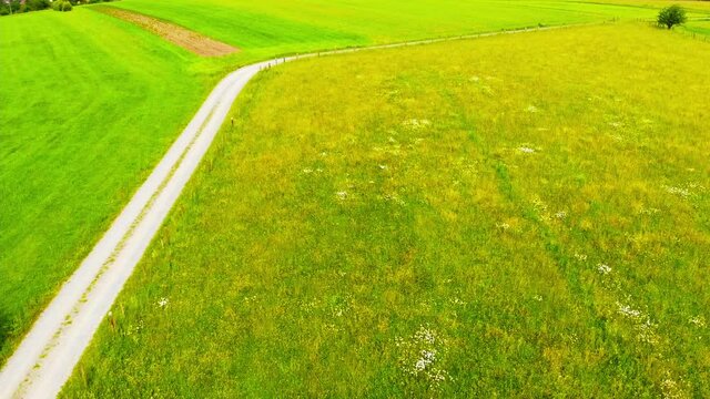 Aerial Drone View Of Lush Green Summer Fields