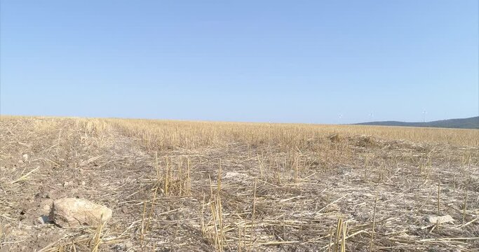 Dying Farm crops, drought Climate Change Farming Aerial